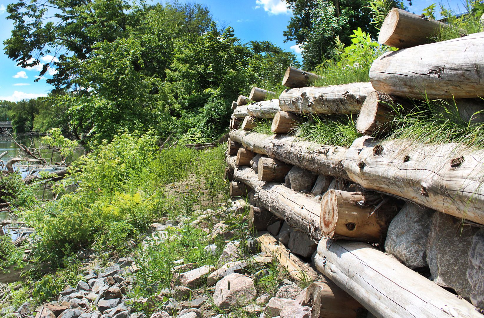 The Clinic's Shoreline Stabilization